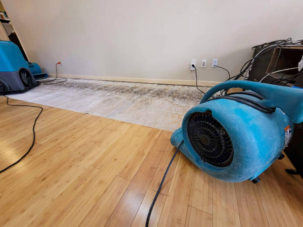 Professional Sewage Cleanup technician working in Spanish Fork, UT
